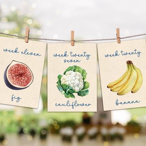 76 Pcs Locally Grown Baby Shower Decorations-36 Pcs Pregnancy Milestone Cards,Locally Grown Farmers Market Themed Party Decorations, Fruits And Vegetables To Track Baby Growth, Weekly Baby Size Cards For Pregnancy Announcement Photos