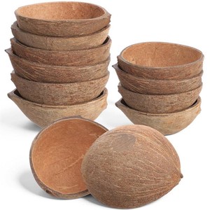 $25 LemonRoad 12 Pcs Natural Coconut Shell Bowl Halves Small Craft, Non Hairy