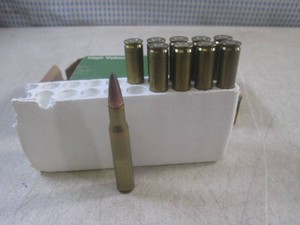 (BS) 10 Springfield 30.06 Rounds