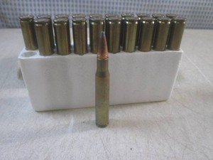 (BS) 20 Springfield 30.06 Rounds