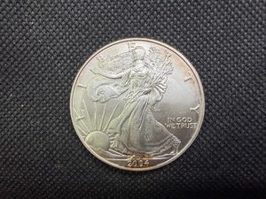 2004 American Silver Eagle