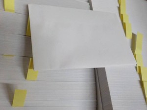 Case of 4 x 6 Envelopes
