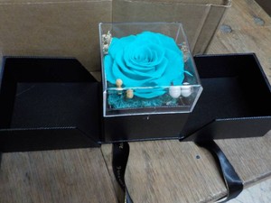 3 Lighted Flower Music Boxes