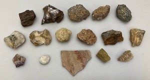 Misc. Rock Specimens Including Petrified Wood & More