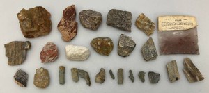 Misc. Rock Specimens Including Petrified Wood & More