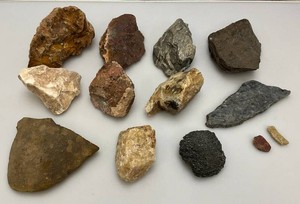 Misc. Rock Specimens Including Petrified Wood & More