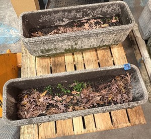 Pallet with 2 cement planters