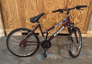 Purple GREAT DIVIDE MAGNA 15speed