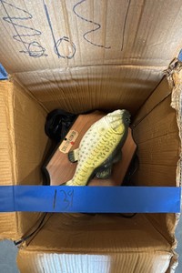 Box of electronics and fish wall hanging