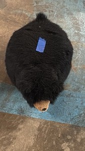 Black bear bean bag