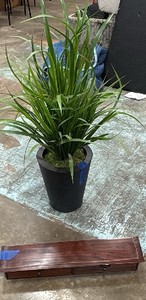 Small fake plant and small wooden storage container