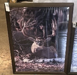 Legendary Whitetails pictures