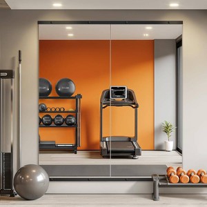 Home Gym Mirror for Wall, 56x28x2PCS Frameless Full Length Mirror, Black