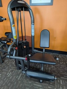 Matrix Selectorized Leg Extension Machine 250 Lb Weight Stack