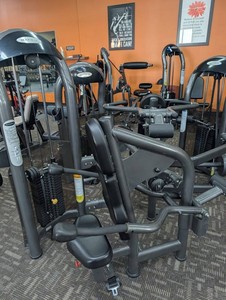 Matrix Seated Dip Strength Machine