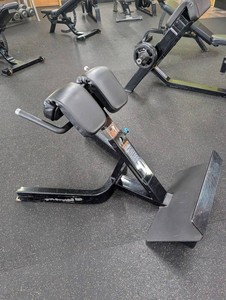 Plate-Loaded Back Extension Bench With Adjustable Pads