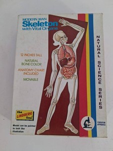 Vintage Lindberg Modern Man Skeleton Kit With Organs 12in