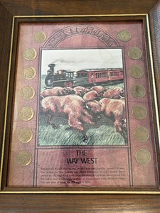 Framed Buffalo Nickels