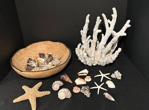 LLR - Coastal Decor - Pier 1 Acacia Bowl, Shells, Coral & Starfish