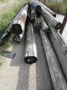 Telephone Poles