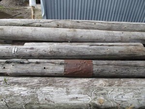Telephone Poles