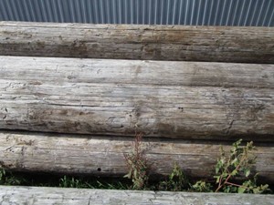 Telephone Poles
