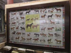 Sam Savitt World of Ponies