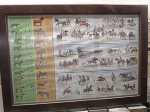 Sam Savitt Horses Through Time