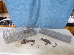 3 Traps and Chicken Wire