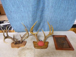 Mounted Deer Antlers and Copper Wall Plaque
