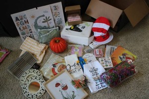 Miscellaneous overstock decor, toys, holiday, kitchen and more see photos