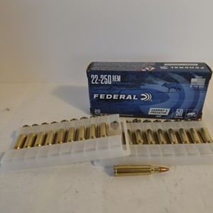 Federal .22-250 Remington Varmint & Predator 50 Grain JHP Rifle Ammunition