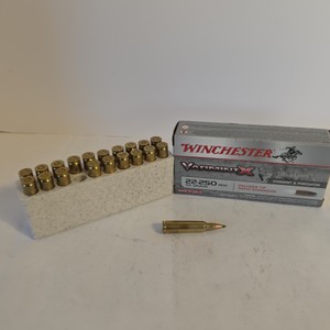 Winchester Varmint X .22-250 Remington 55 Grain Polymer Tip Ammunition