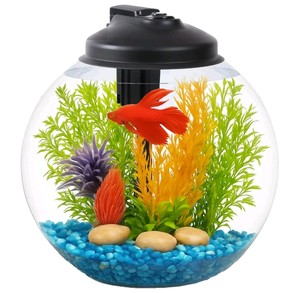 3-Gallon Plastic Globe Aquarium Starter Kit with Filter & LED - Brand New