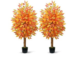 Artificial Autumn Ficus Trees 2-Pack $69.99 Retail - Brand New