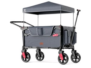 EVER ADVANCED 2-Passenger Folding Stroller Wagon with Canopy $199.99 Retail - Brand New