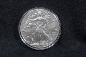 2017 US Silver Eagle 1 Ounce Coin