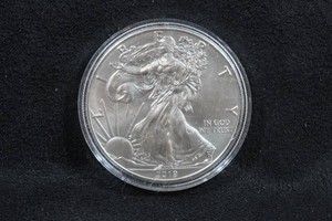 2019 US Silver Eagle 1 Ounce Coin