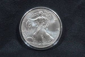 2017 US Silver Eagle 1 Ounce Coin