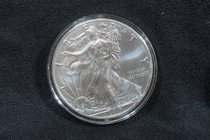 2017 US Silver Eagle 1 Ounce Coin