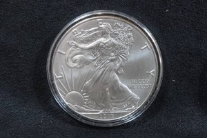 2017 US Silver Eagle 1 Ounce Coin