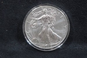 2018 US Silver Eagle 1 Ounce Coin