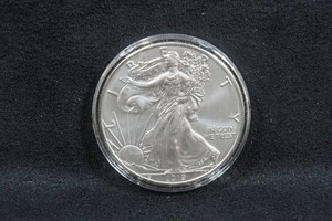 2019 US Silver Eagle 1 Ounce Coin