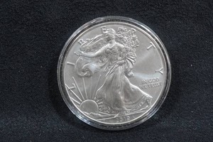 2019 US Silver Eagle 1 Ounce Coin