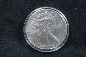 2019 US Silver Eagle 1 Ounce Coin