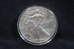 2018 US Silver Eagle 1 Ounce Coin