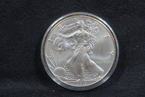 2017 US Silver Eagle 1 Ounce Coin