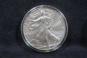 2019 US Silver Eagle 1 Ounce Coin