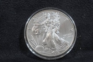 2018 US Silver Eagle 1 Ounce Coin