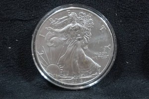 2018 US Silver Eagle 1 Ounce Coin